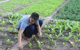 Mâm ngũ quả đặc biệt của lính Trường Sa trong ngày Tết